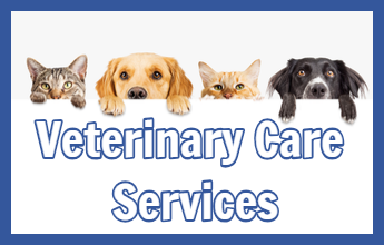 Veterinarian in Elkhart Lake, WI