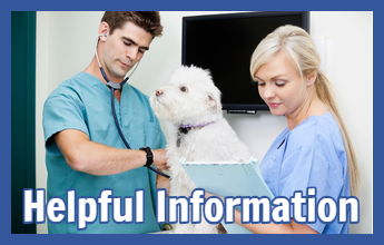 Veterinarians in Elkhart Lake, WI