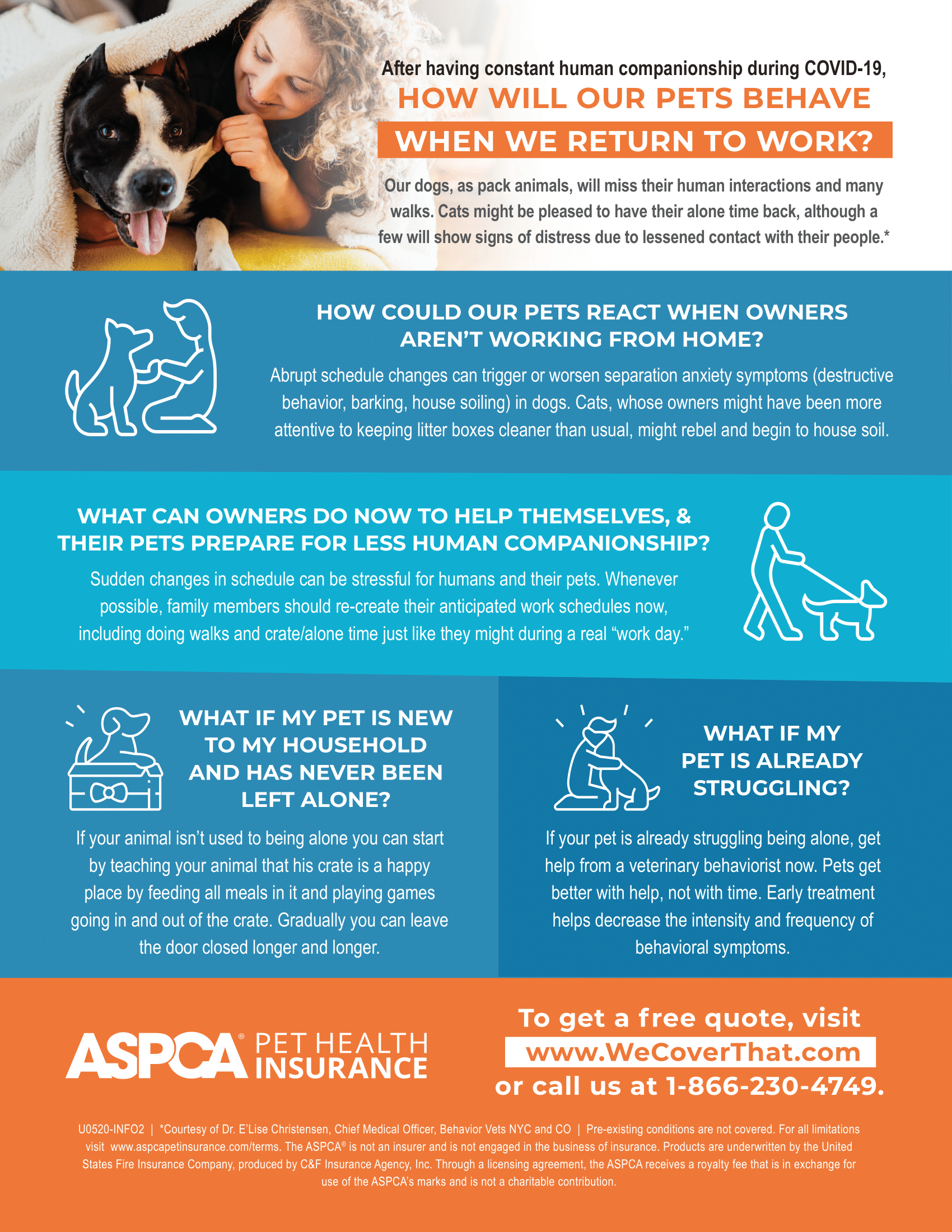 Elkhart Lake Veterinarian Elkhart Lake Veterinarian