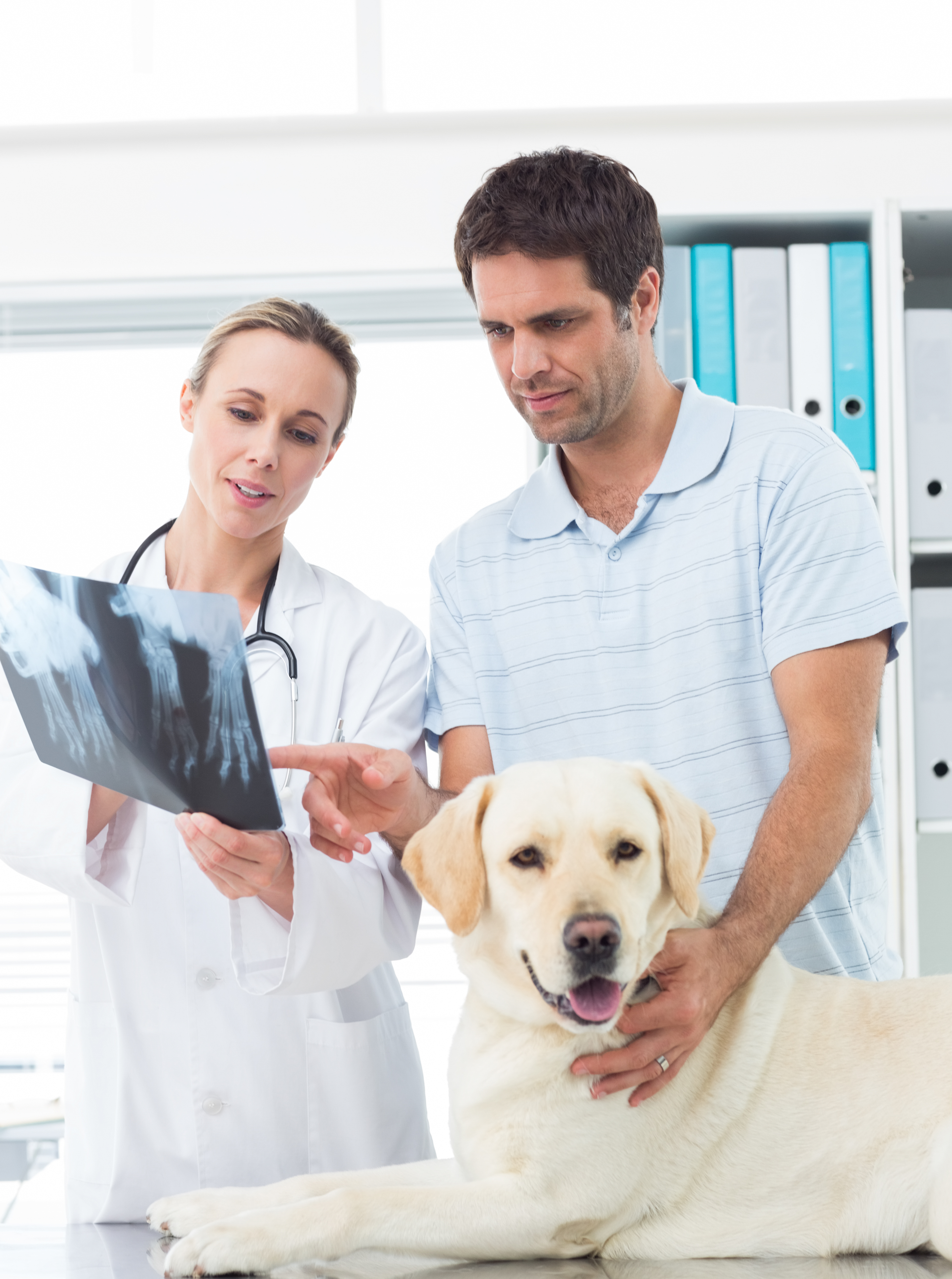 Veterinarians in Elkhart Lake, WI